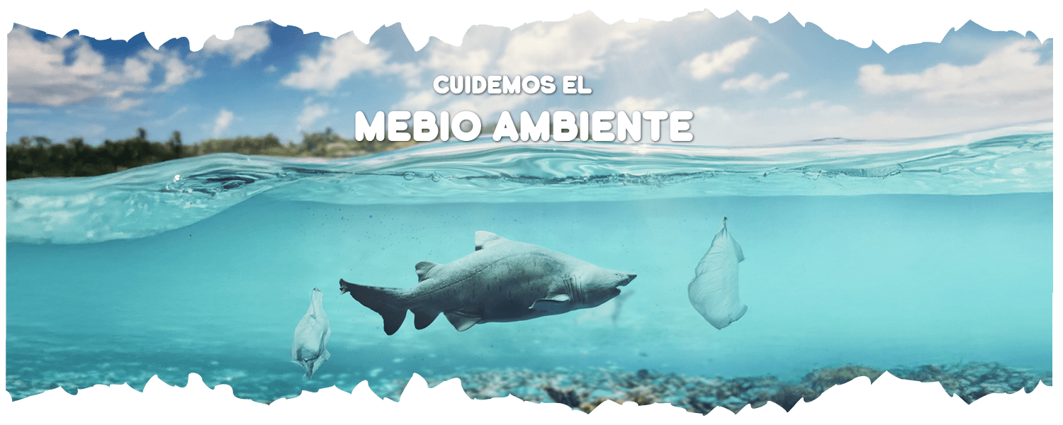 Cuidemos el medio ambiente